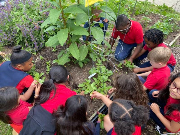 Glow & Grow Summer Camp at St. Monica School