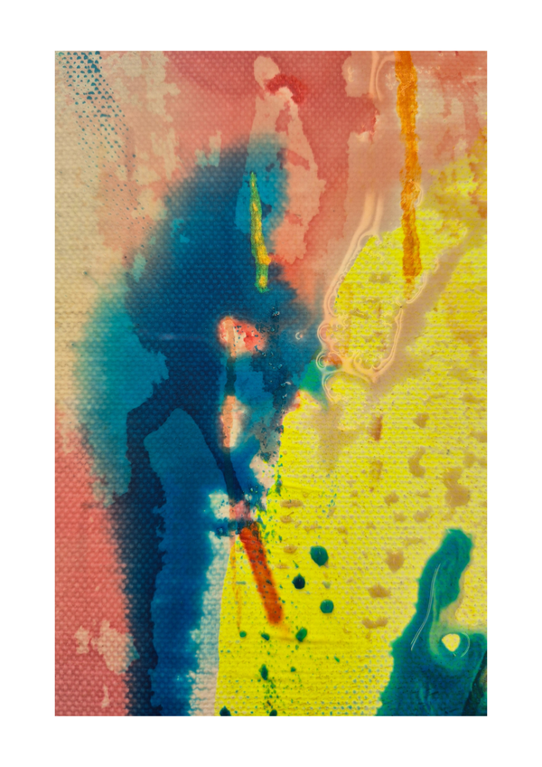 Poster Abundance of Life