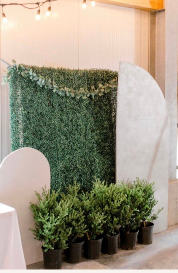 Boxwood panels