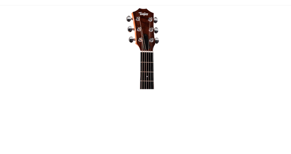 Taylor Zedd GS Mini Telos Special Edition Acoustic Guitar - Custom Graphic