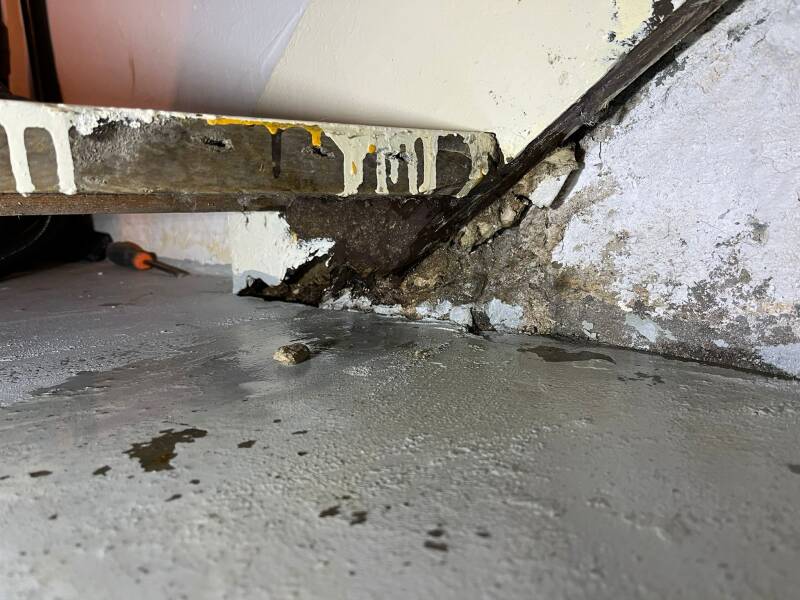 kelderlekkage rotterdam