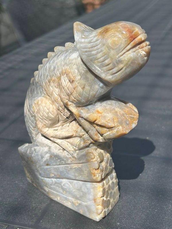 Koraal jaspis Kameleon