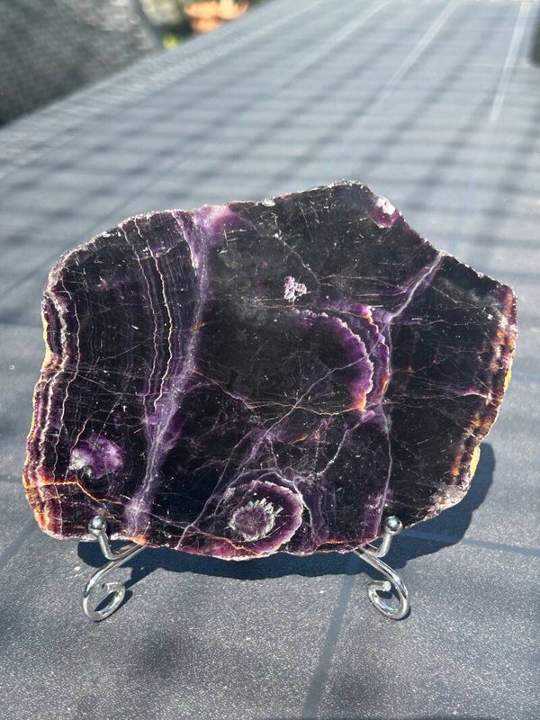 Fluoriet Plak #1 met houder “deep purple”