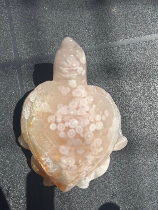 Bloem agaat  zeeschildpad #1