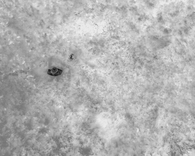 Luftaufnahme mit der Wärmebildkamer