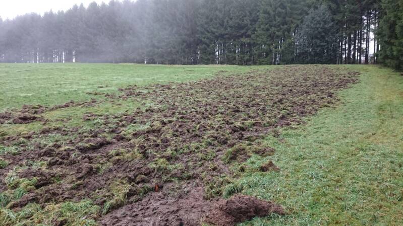 Auch Schäden in Grünflächen sind Erstattungspflichtig