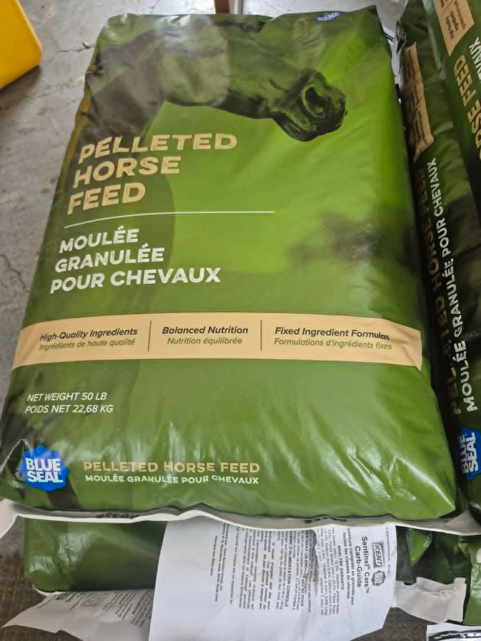 Fibre/gras Carb-Guard cheval Blue Seal 22.68kg (50lbs)