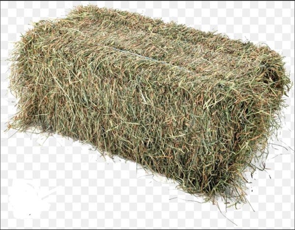 Foin balle de 1pi. large x 3pi. long
