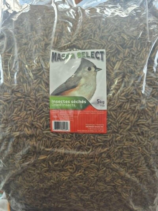 Insectes séchés 5kg (11lbs)