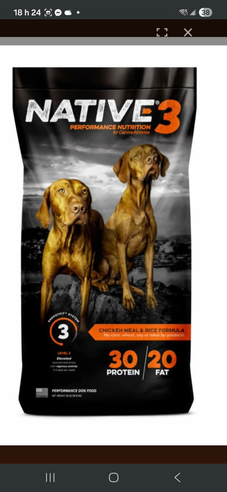 Native chien 3....30/20  18.1kg (40lbs)