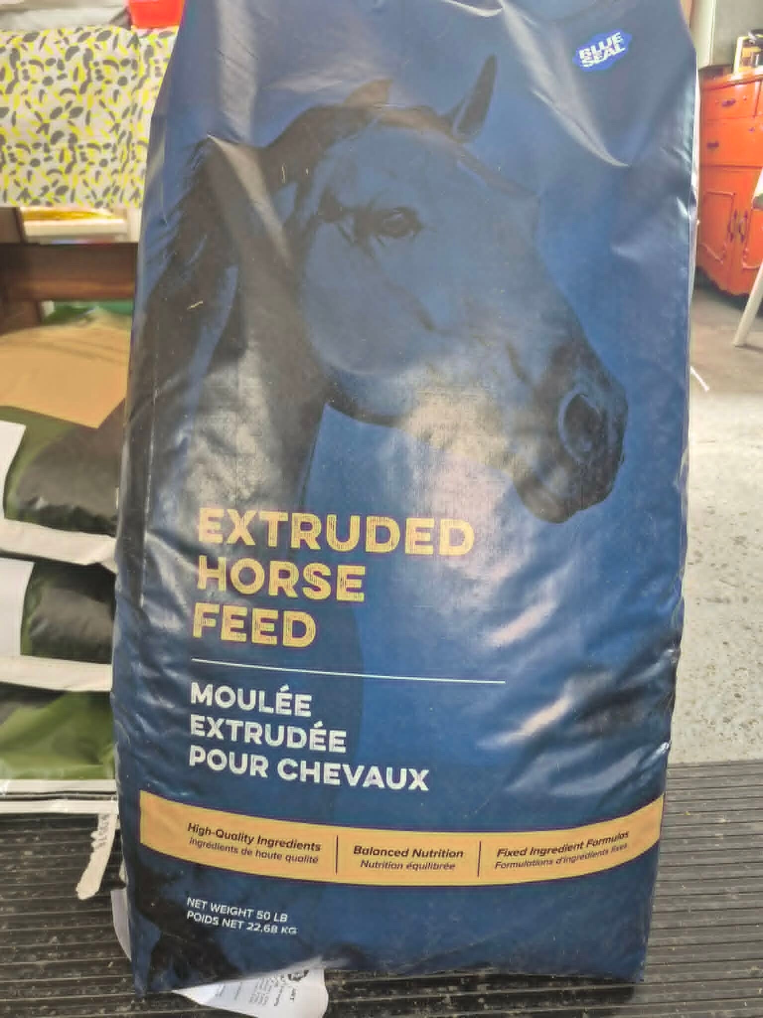 Safe/start cheval sentinel Blueseal 22.68kg (50lbs)