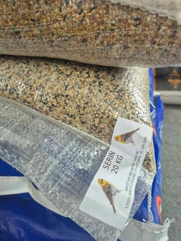 Serin 20kg (44lbs)