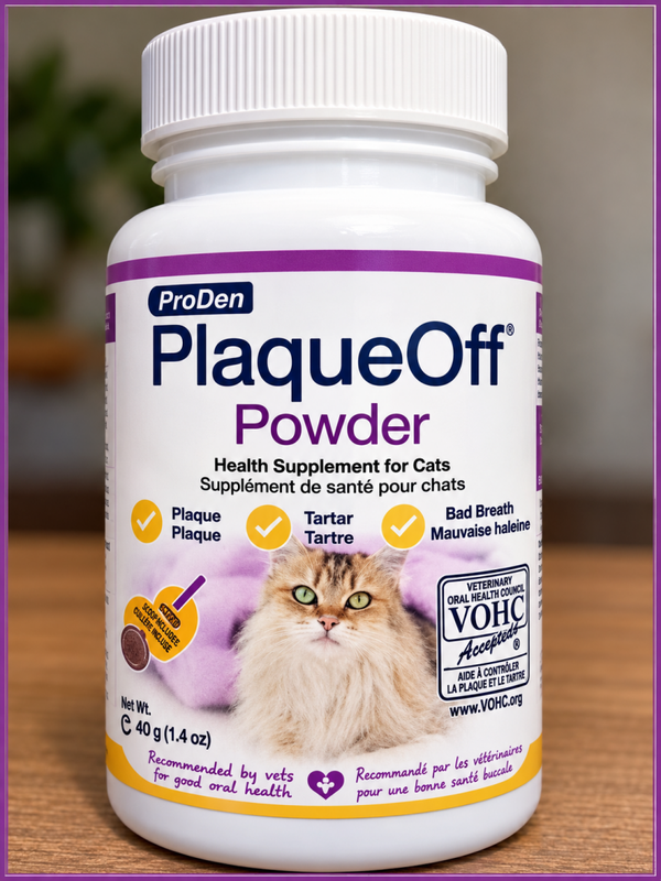 PlaqueOff chat