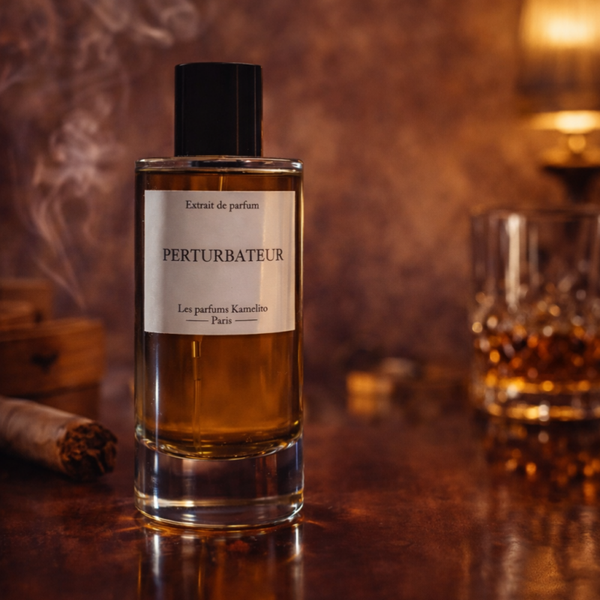 Perturbateur