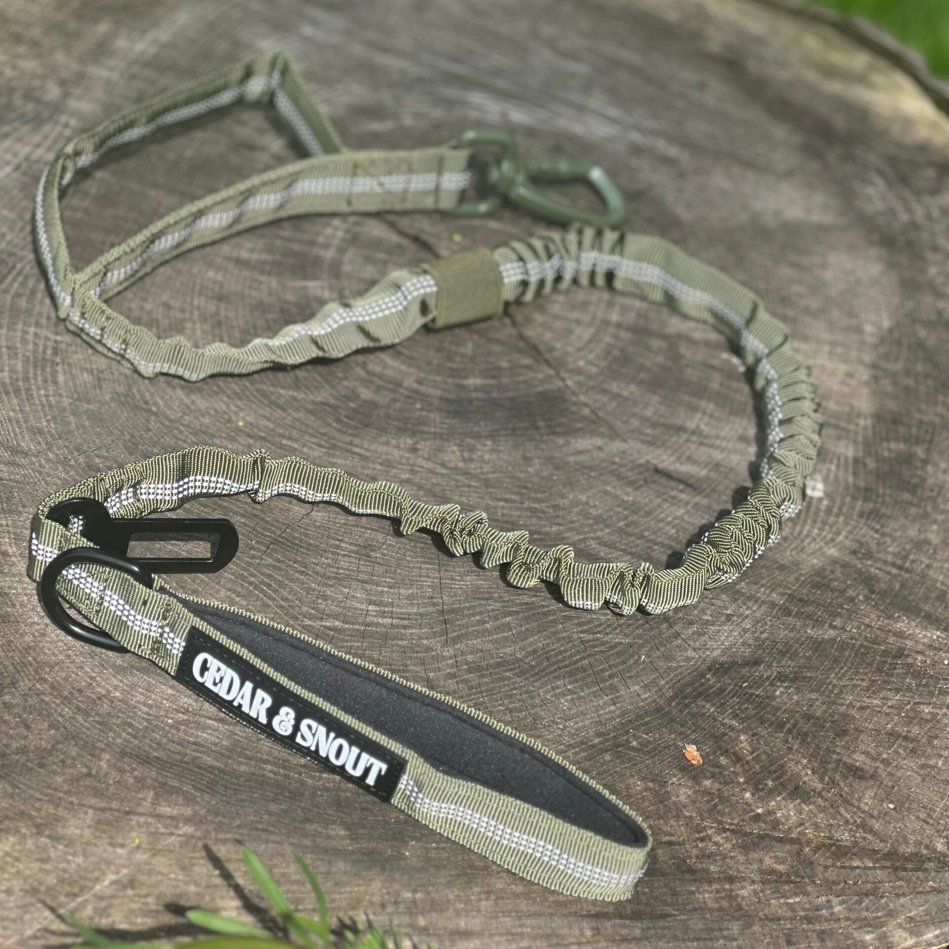 Vanguard Seatbelt Lead
