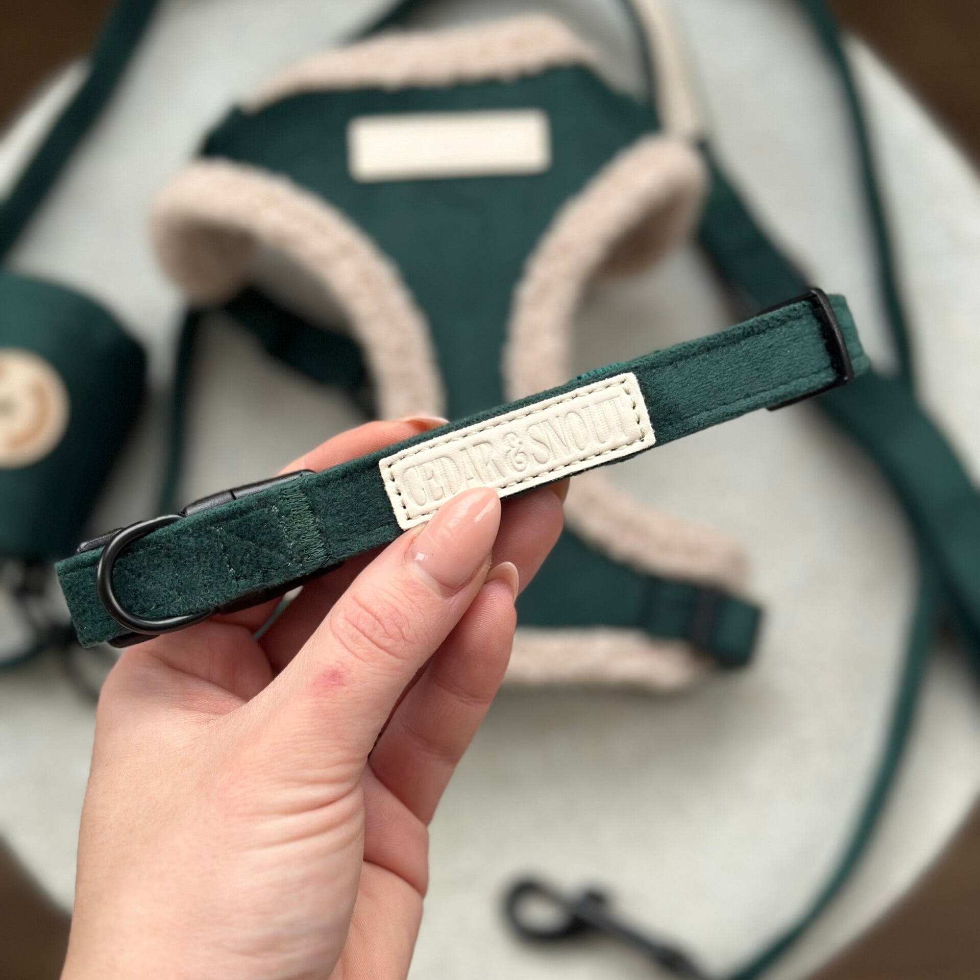 The Cabin Dog Collar - Evergreen