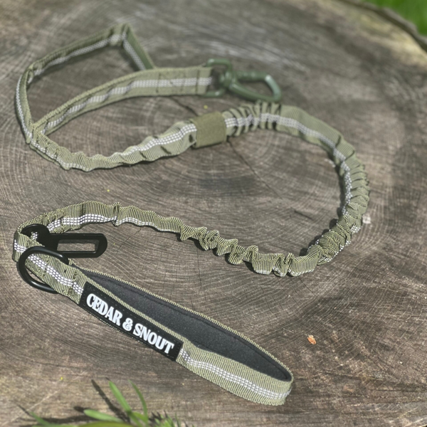 Vanguard Seatbelt Lead