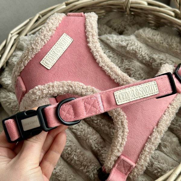 The Cabin Dog Collar - Bloom