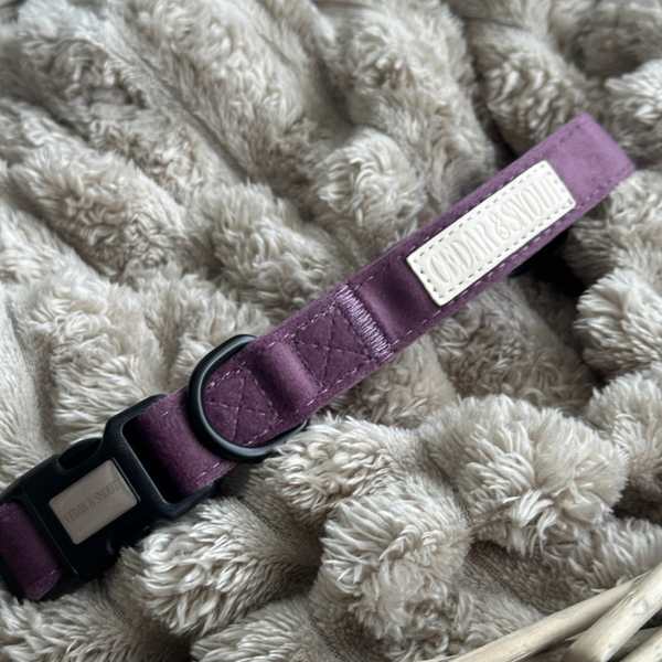 The Cabin Dog Collar - Heather