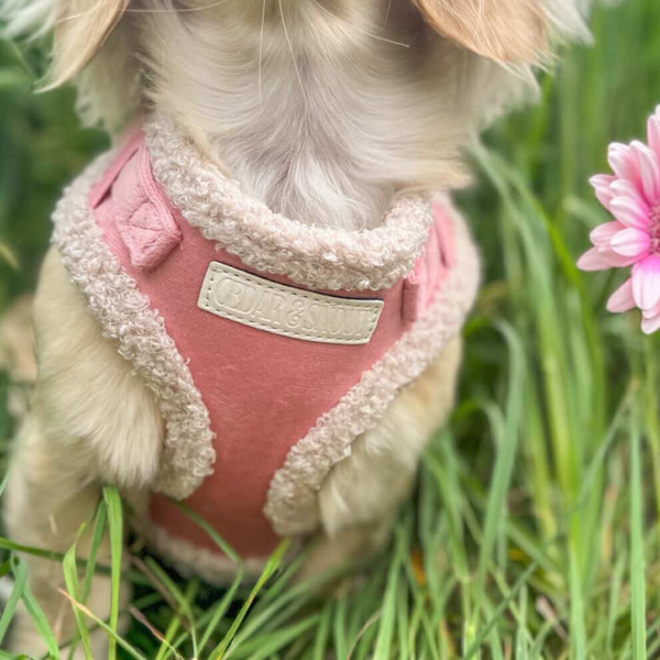 The Cabin Dog Harness - Bloom