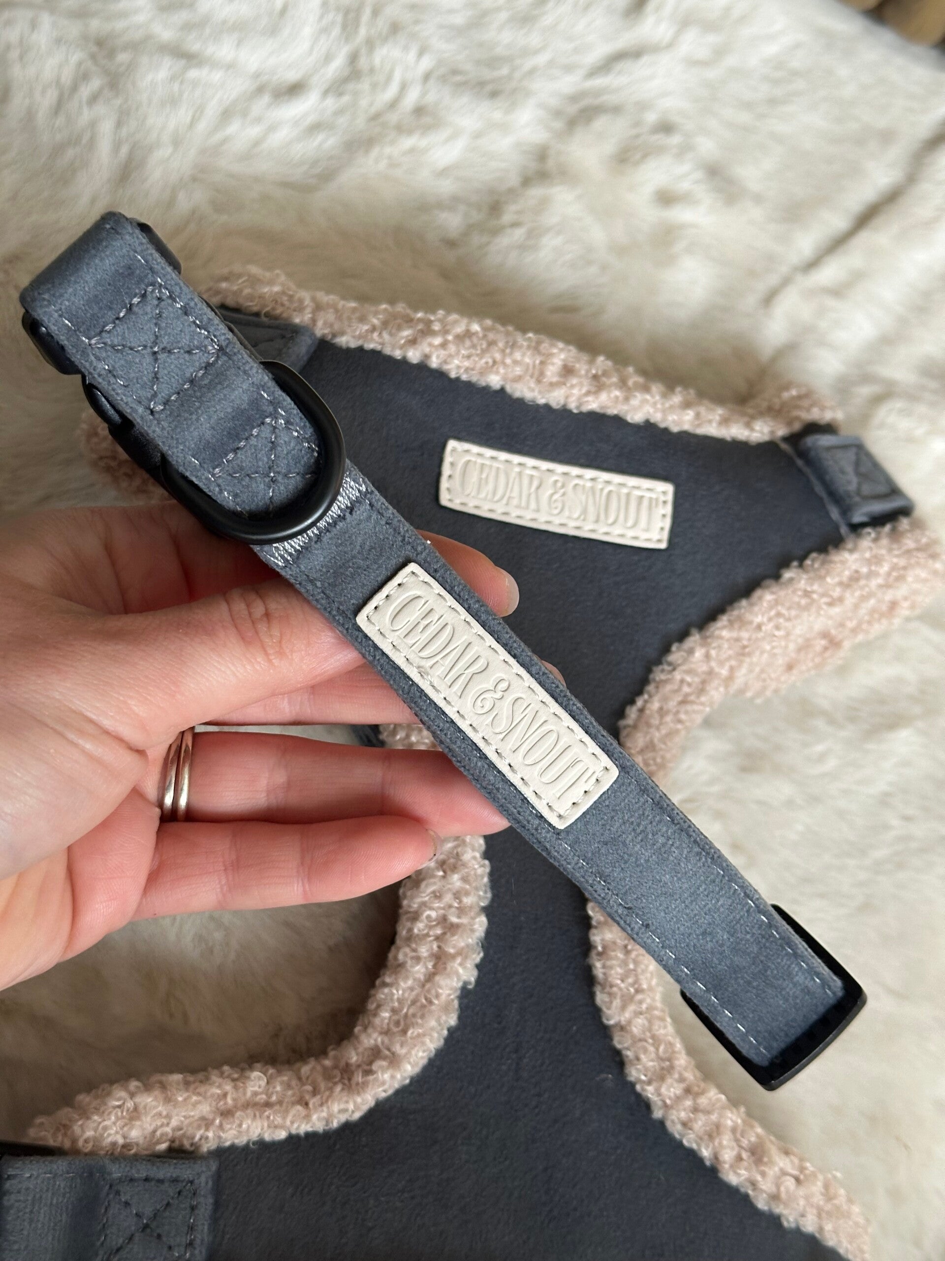 The Cabin Dog Collar - Ash