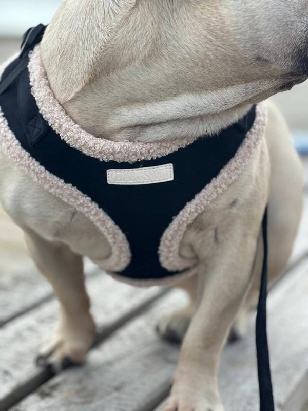 The Cabin Dog Harness - Onyx