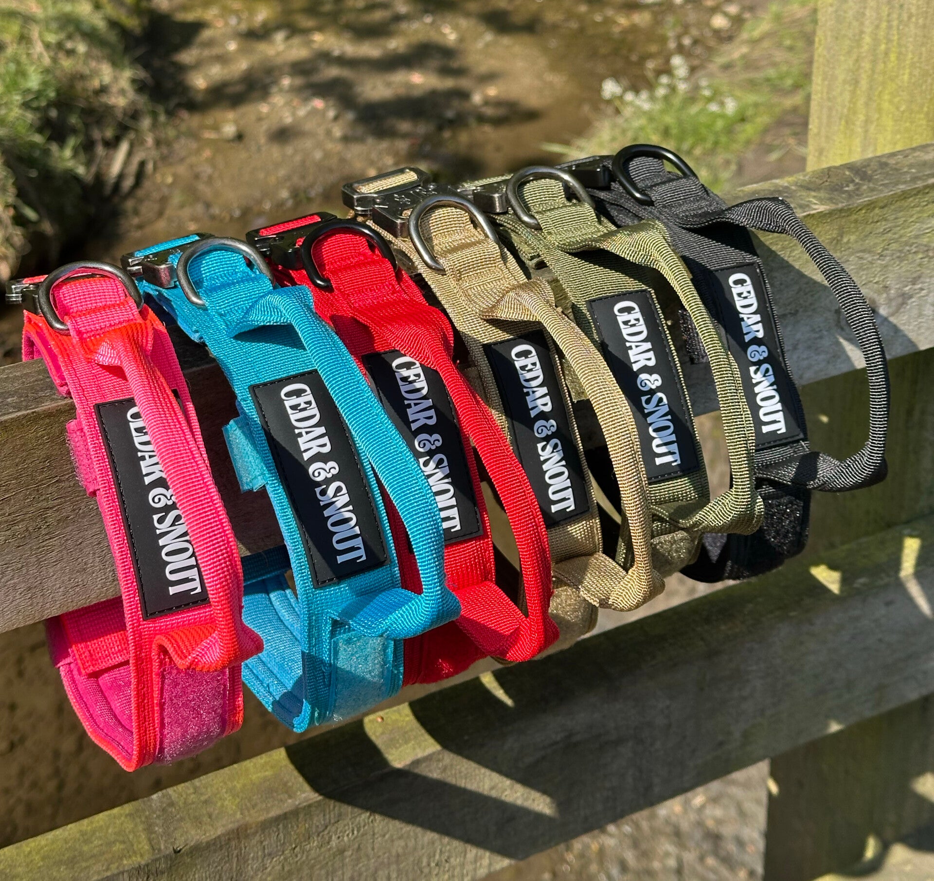 Vanguard Collar