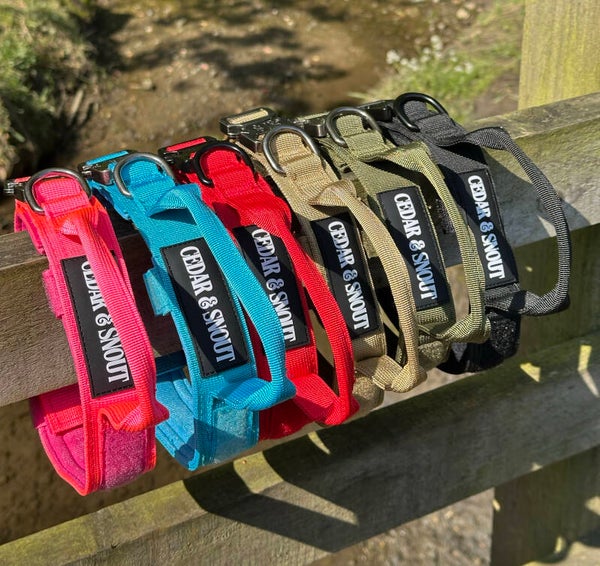 Vanguard Collar