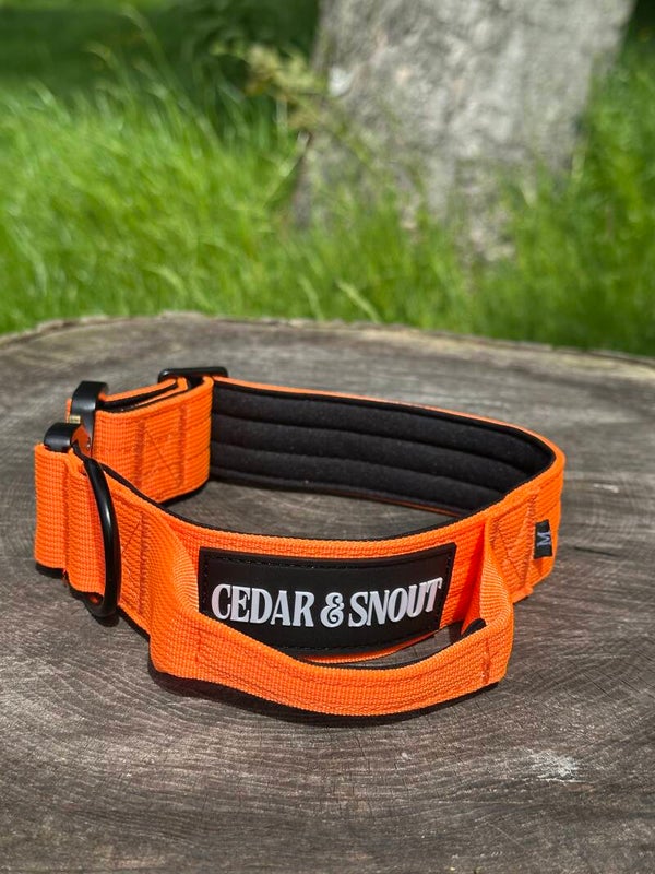 Ranger Collar