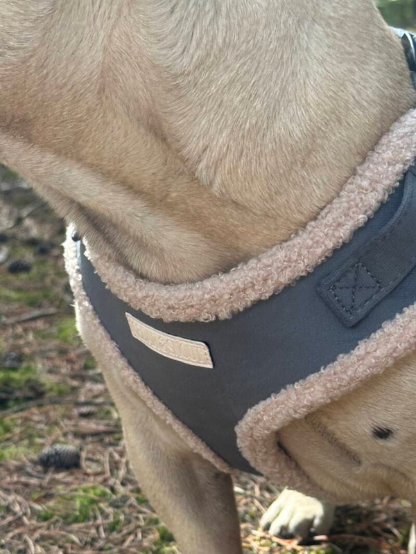 The Cabin Dog Harness - Ash