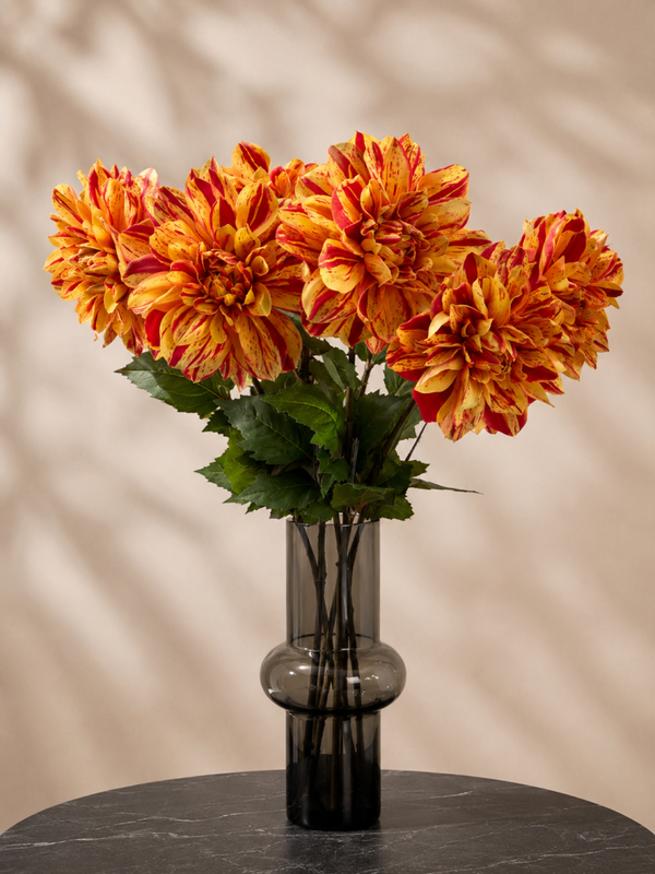 Dahlia geel/rood