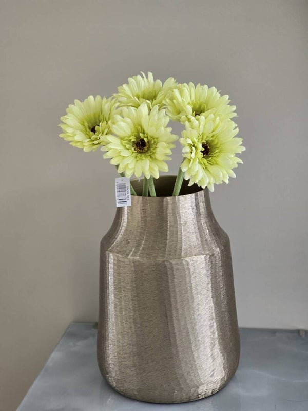 Gerbera groen