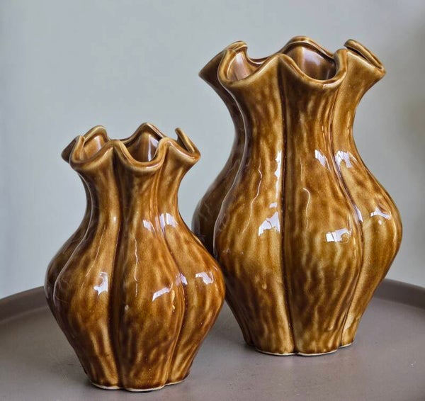 Vaas Inga Driss bruin