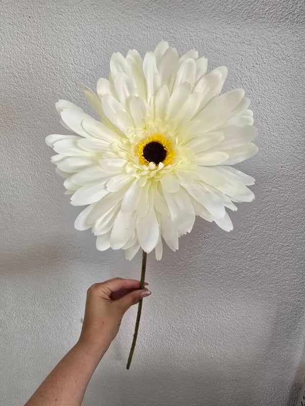 XXL gerbera wit