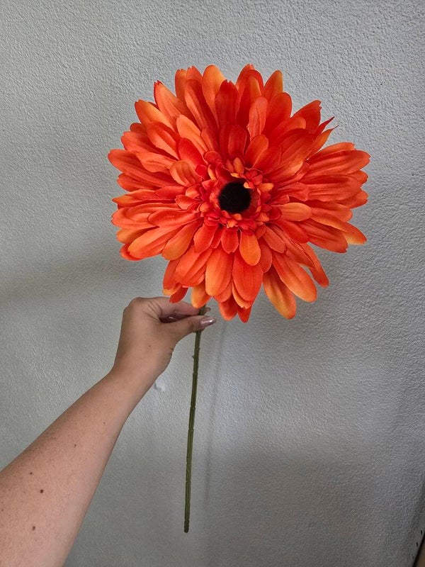XXL gerbera oranje