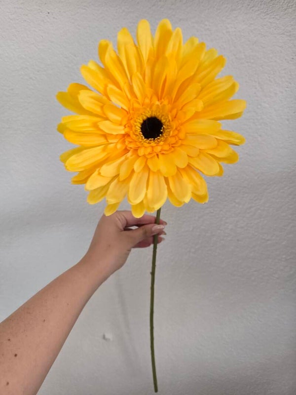 XXL gerbera geel