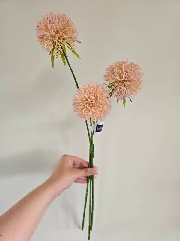 Bosje allium peach