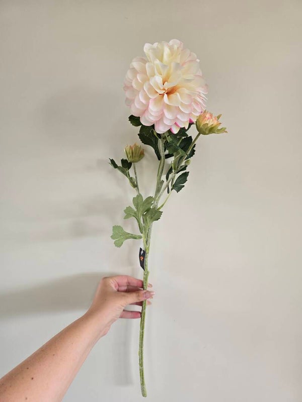 Silk dahlia creme