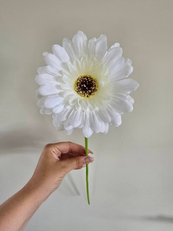 Gerbera wit
