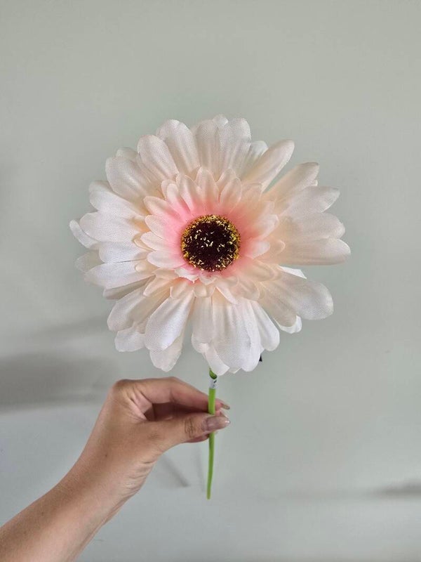 Gerbera peach