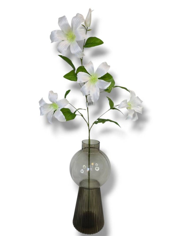 Clematis wit