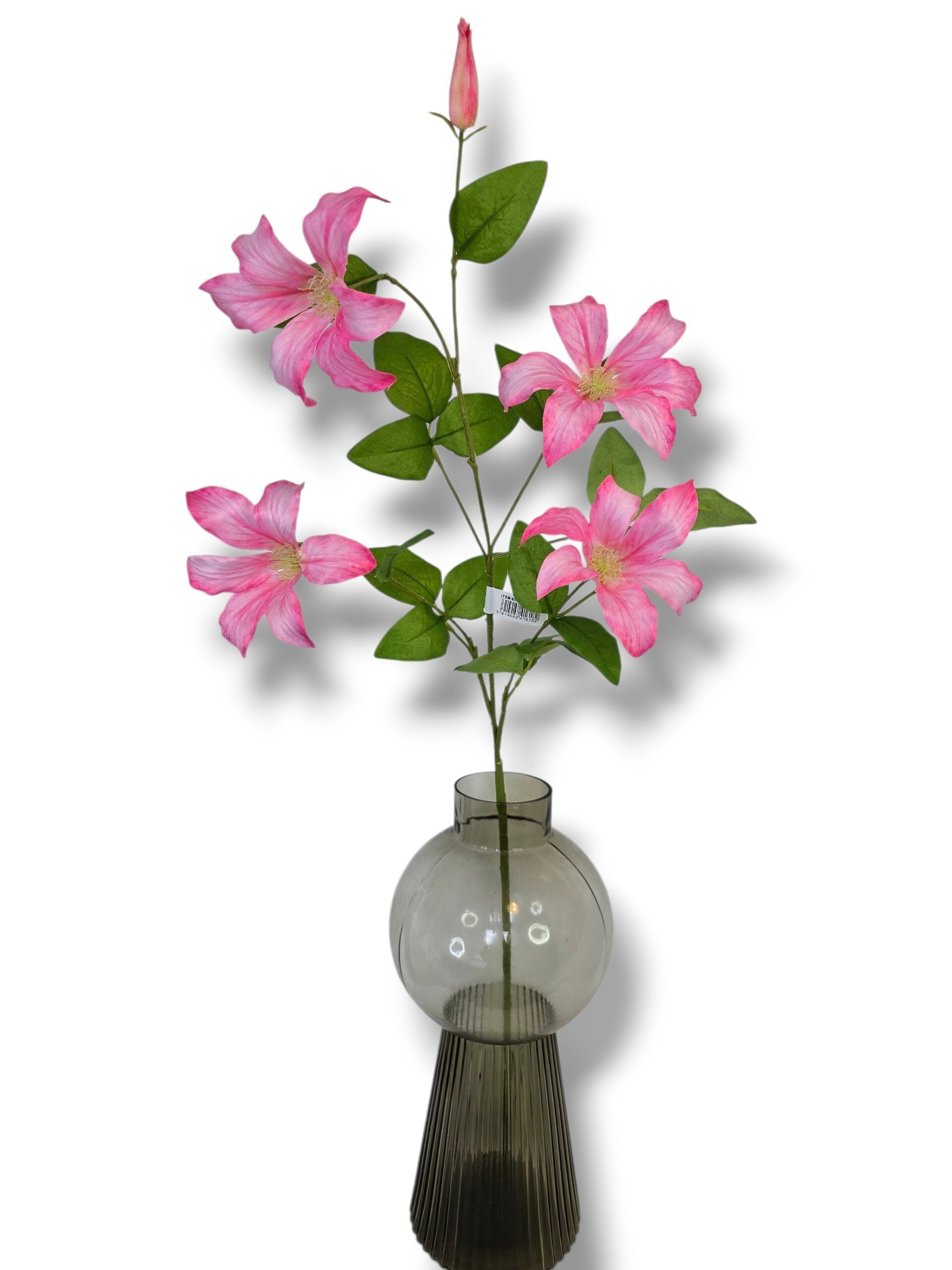 Clematis roze