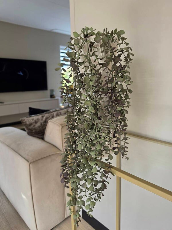 Hangplant eucalyptus groen