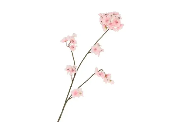 Bloesemtak licht roze