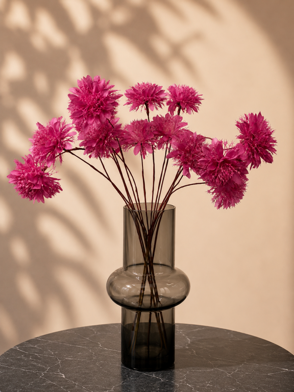Chrysant paars
