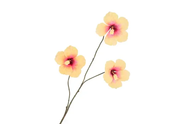 Silk hibiscus peach