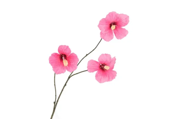 Silk hibiscus donker roze