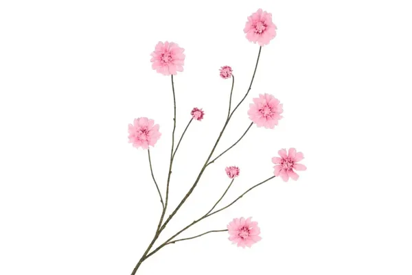 Silk dahlia licht roze 125cm