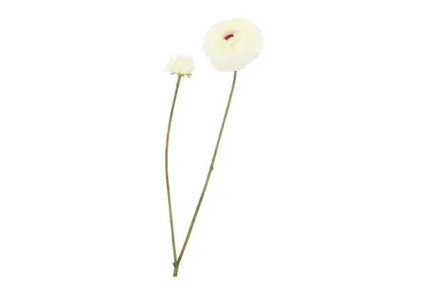 Silk zinnia white