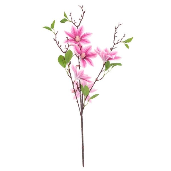 Magnolia paars